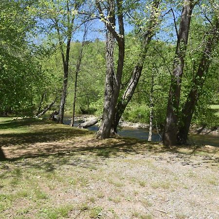 Riverside Trout Cottage Helen Dış mekan fotoğraf