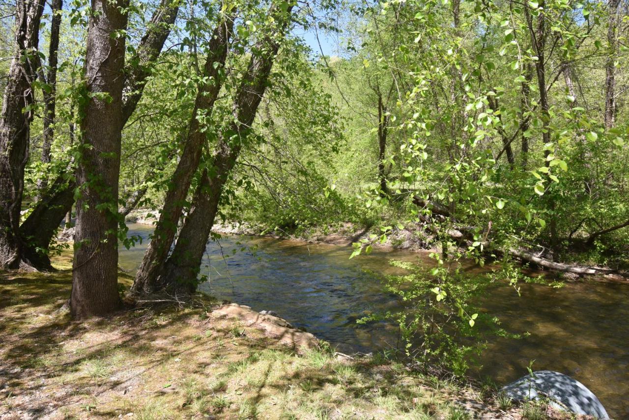 Riverside Trout Cottage Helen Dış mekan fotoğraf